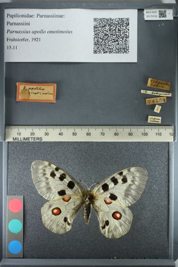 Media type: image;   Entomology 175150